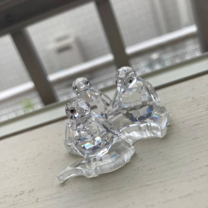 画像258